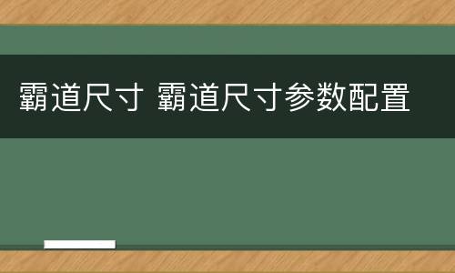 霸道尺寸 霸道尺寸参数配置