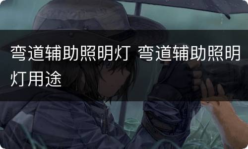 弯道辅助照明灯 弯道辅助照明灯用途
