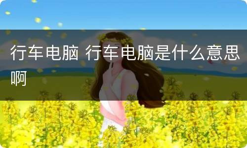 行车电脑 行车电脑是什么意思啊