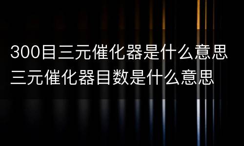 300目三元催化器是什么意思 三元催化器目数是什么意思
