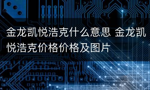 金龙凯悦浩克什么意思 金龙凯悦浩克价格价格及图片