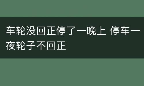 车轮没回正停了一晚上 停车一夜轮子不回正