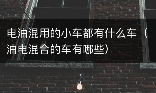 电油混用的小车都有什么车（油电混合的车有哪些）