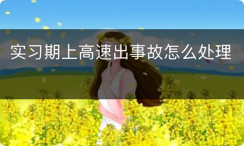 实习期上高速出事故怎么处理
