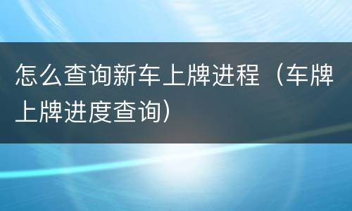 怎么查询新车上牌进程（车牌上牌进度查询）