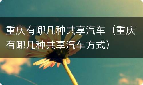 重庆有哪几种共享汽车（重庆有哪几种共享汽车方式）