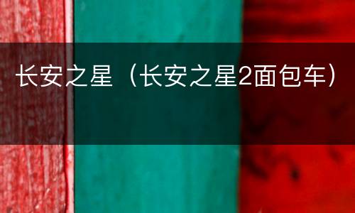 长安之星（长安之星2面包车）