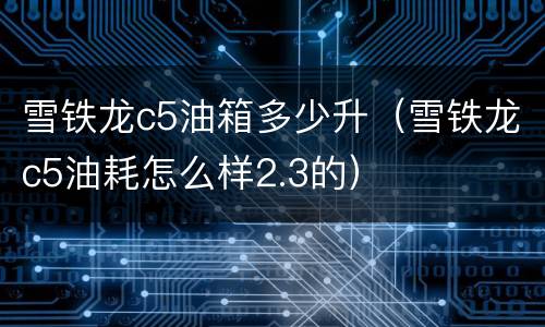 雪铁龙c5油箱多少升（雪铁龙c5油耗怎么样2.3的）