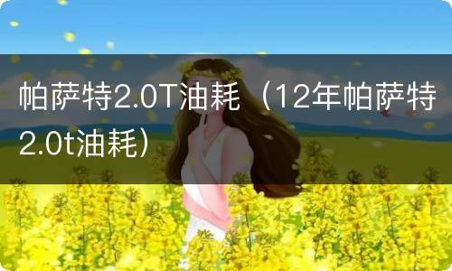 帕萨特2.0T油耗（12年帕萨特2.0t油耗）