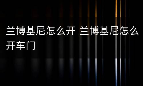 兰博基尼怎么开 兰博基尼怎么开车门