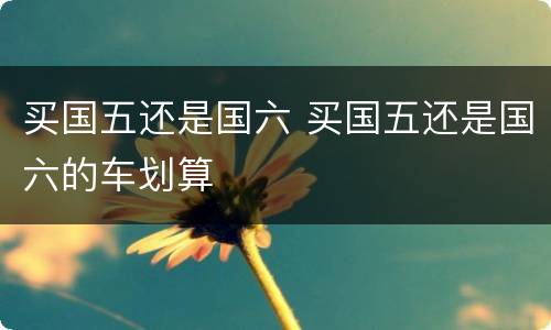买国五还是国六 买国五还是国六的车划算