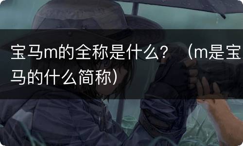 宝马m的全称是什么？（m是宝马的什么简称）