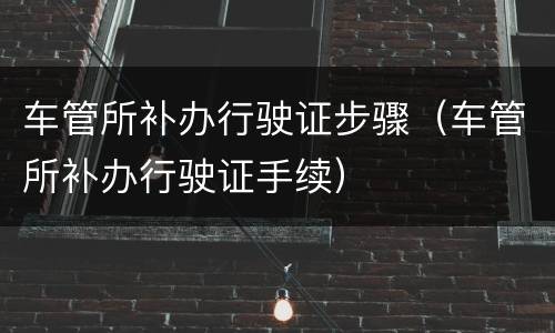 车管所补办行驶证步骤（车管所补办行驶证手续）