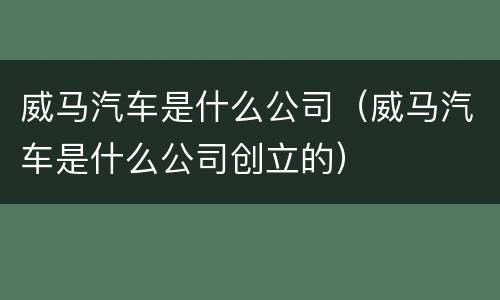 威马汽车是什么公司（威马汽车是什么公司创立的）