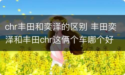 chr丰田和奕泽的区别 丰田奕泽和丰田chr这俩个车哪个好