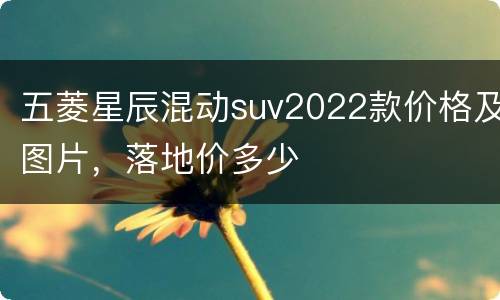五菱星辰混动suv2022款价格及图片，落地价多少