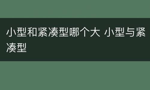 小型和紧凑型哪个大 小型与紧凑型