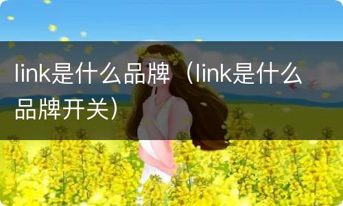 link是什么品牌（link是什么品牌开关）