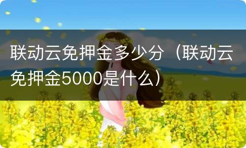 联动云免押金多少分（联动云免押金5000是什么）