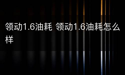 领动1.6油耗 领动1.6油耗怎么样