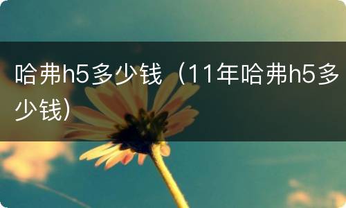 哈弗h5多少钱（11年哈弗h5多少钱）