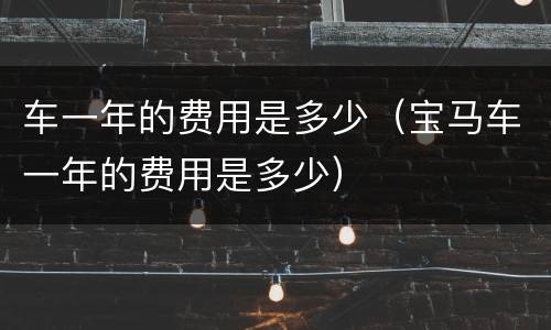车一年的费用是多少（宝马车一年的费用是多少）