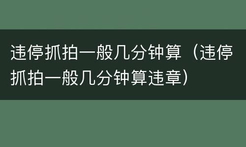 违停抓拍一般几分钟算（违停抓拍一般几分钟算违章）