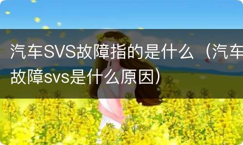 汽车SVS故障指的是什么（汽车故障svs是什么原因）