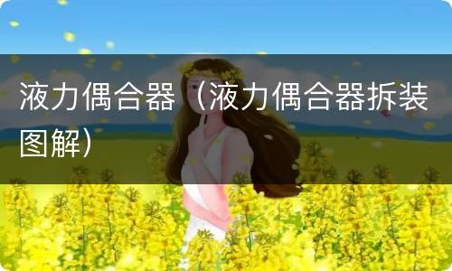 液力偶合器（液力偶合器拆装图解）