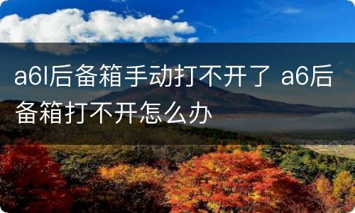 a6l后备箱手动打不开了 a6后备箱打不开怎么办