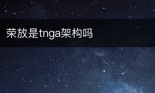 荣放是tnga架构吗