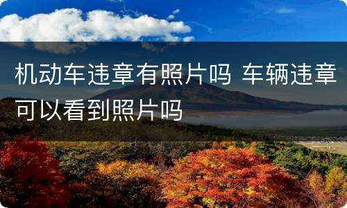 机动车违章有照片吗 车辆违章可以看到照片吗