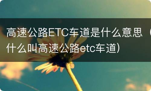 高速公路ETC车道是什么意思（什么叫高速公路etc车道）