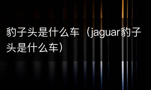 豹子头是什么车（jaguar豹子头是什么车）