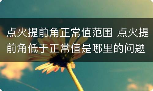 点火提前角正常值范围 点火提前角低于正常值是哪里的问题