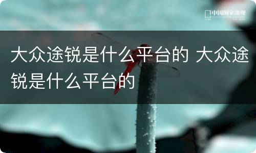 大众途锐是什么平台的 大众途锐是什么平台的