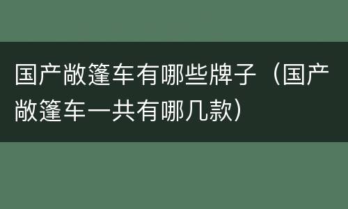 国产敞篷车有哪些牌子（国产敞篷车一共有哪几款）