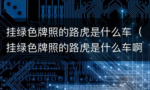 挂绿色牌照的路虎是什么车（挂绿色牌照的路虎是什么车啊）