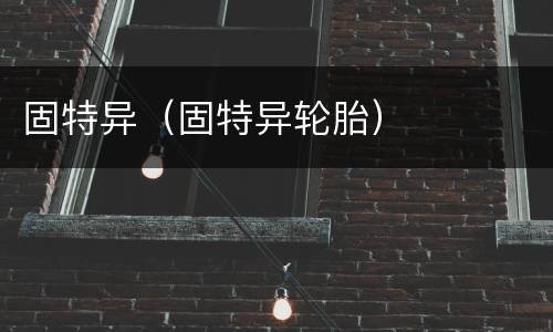 固特异（固特异轮胎）