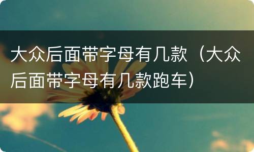 大众后面带字母有几款（大众后面带字母有几款跑车）