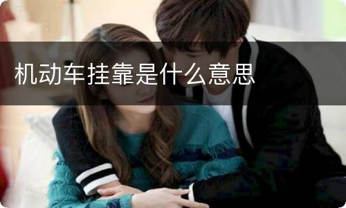 机动车挂靠是什么意思