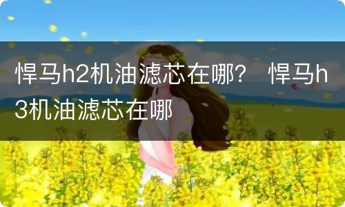 悍马h2机油滤芯在哪？ 悍马h3机油滤芯在哪
