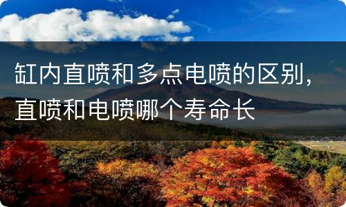 缸内直喷和多点电喷的区别，直喷和电喷哪个寿命长