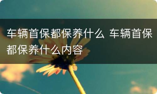 车辆首保都保养什么 车辆首保都保养什么内容