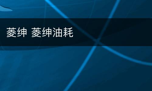 菱绅 菱绅油耗