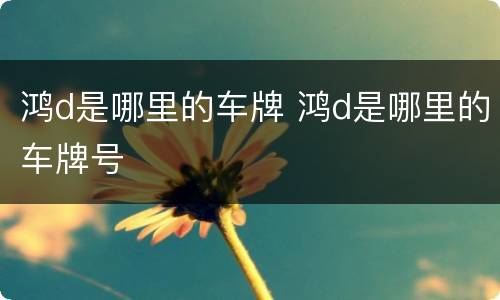 鸿d是哪里的车牌 鸿d是哪里的车牌号