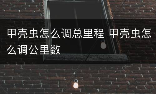 甲壳虫怎么调总里程 甲壳虫怎么调公里数