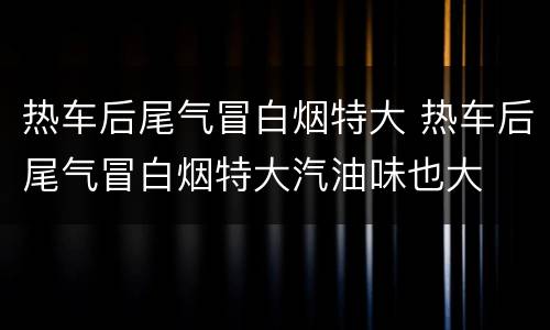 热车后尾气冒白烟特大 热车后尾气冒白烟特大汽油味也大