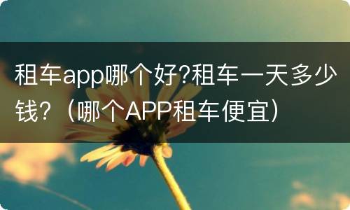 租车app哪个好?租车一天多少钱?（哪个APP租车便宜）