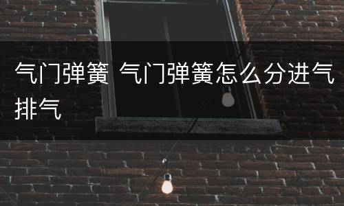 气门弹簧 气门弹簧怎么分进气排气